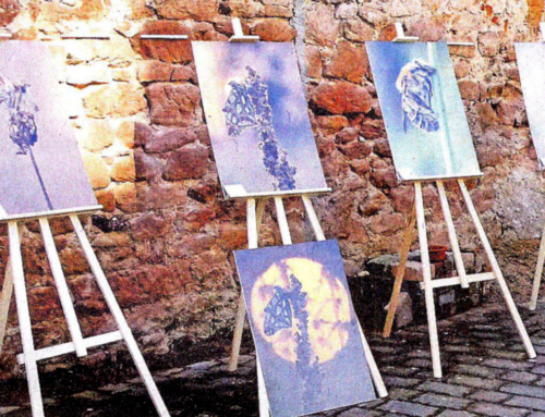 Auch dieses Jahr wieder: Die 6. FotoART – Ausstellung in den Hinterhöfen der Altstadt