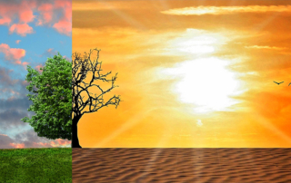 Climate Change_© Tumisu für Pixabay