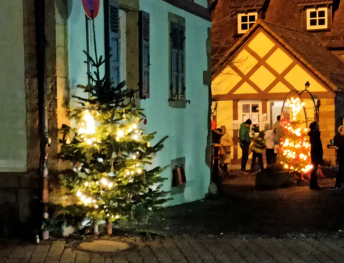 KulturART  Otterberg – Weihnachtsbäume in Hauptstraße und Altstadt (2)