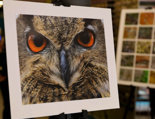 KulturART Otterberg präsentierte FotoART 2025 in Otterbergs Altstadt mit 400 Besuchern