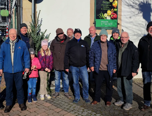 KulturART  Otterberg – Weihnachtsbäume in Hauptstraße und Altstadt
